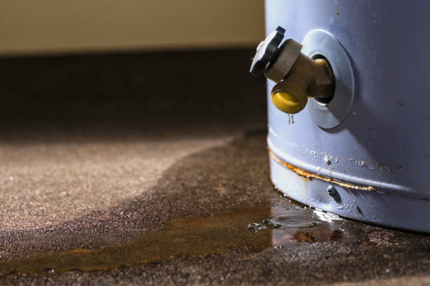 Best Sewage cleanup and water damage restoration  in , FL