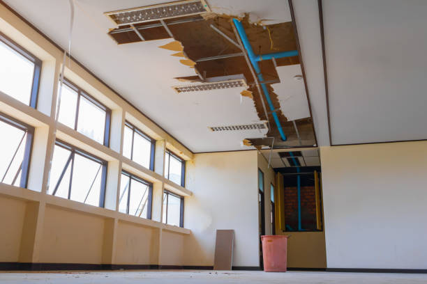 Best Commercial water damage restoration  in , FL