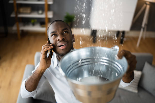 Best Local water damage restoration  in , FL