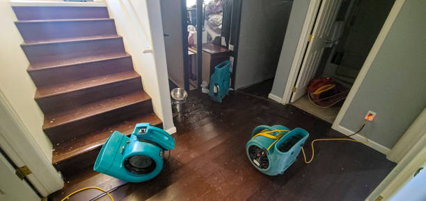 Best Ceiling water damage repair  in , FL