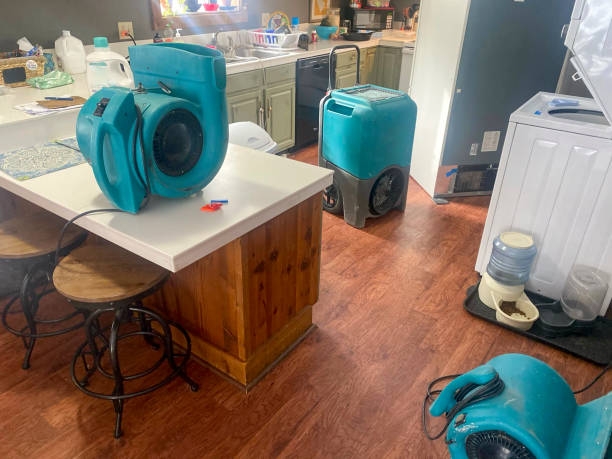 Best Flood damage cleanup  in , FL