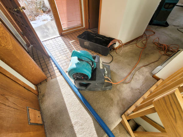 Best 24/7 water damage repair  in , FL