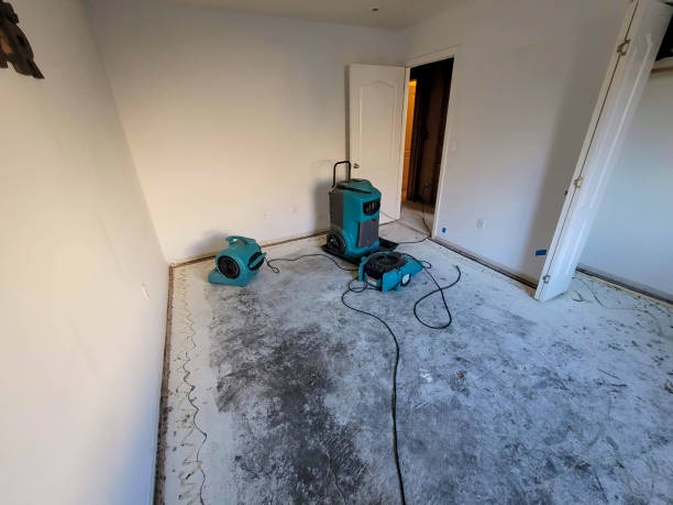 Best Water damage contractors near me  in , FL