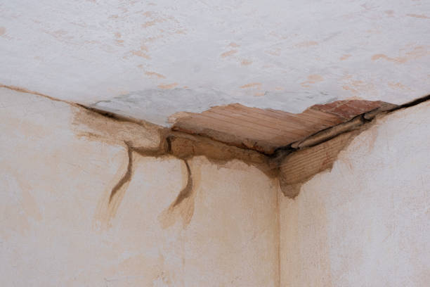 Best Water damage restoration near me  in , FL