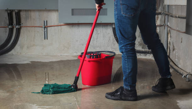  , FL Water damage restoration Pros