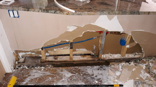 Best Professional water damage repair  in , FL