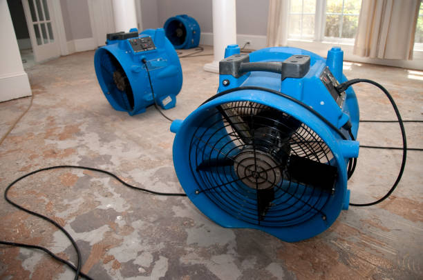Best Water damage restoration specialists  in , FL