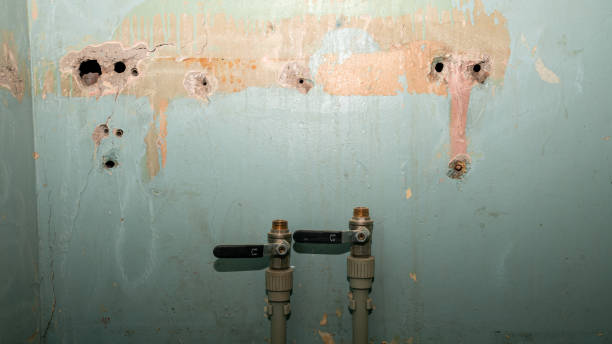 Best Flood restoration services  in , FL