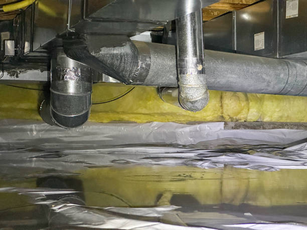 Best Carpet water damage restoration  in , FL