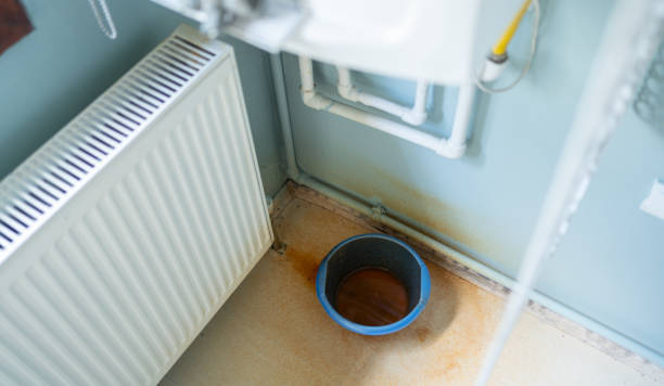 Best Water damage cleanup near me  in , FL
