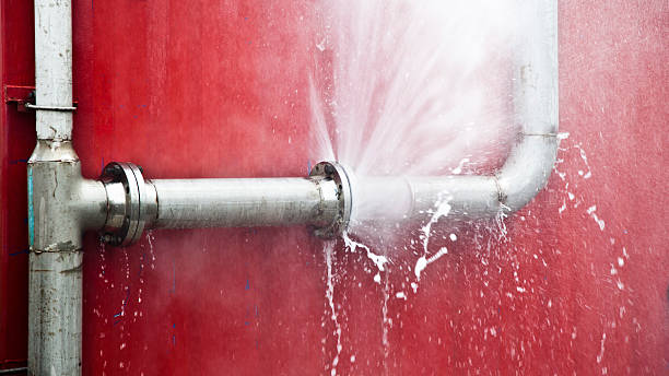 Best Ceiling water damage repair  in , FL