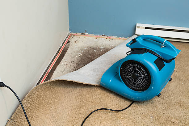  , FL Water damage restoration Pros